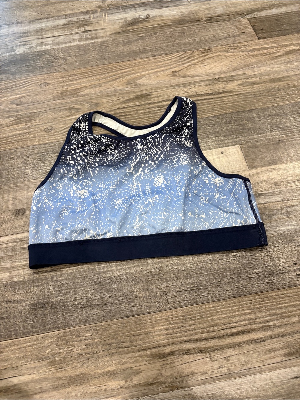 Champion Blue and Navy High-Neck Athletic Swim Top